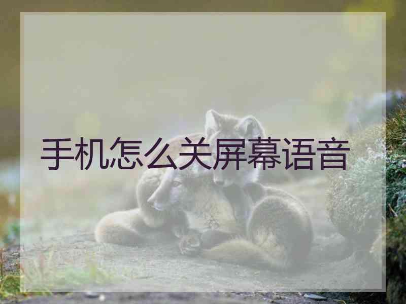 手机怎么关屏幕语音