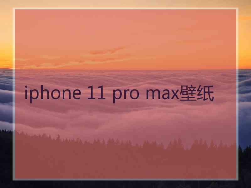 iphone 11 pro max壁纸