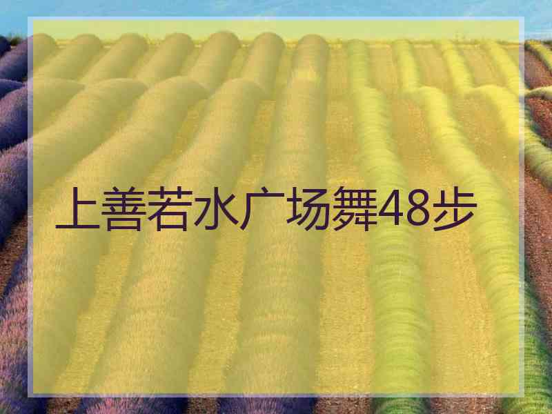 上善若水广场舞48步