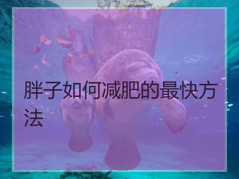 胖子如何减肥的最快方法