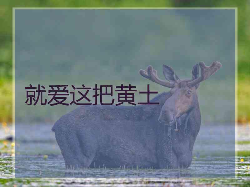 就爱这把黄土