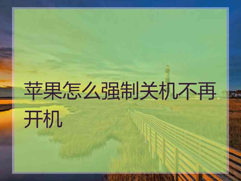 苹果怎么强制关机不再开机