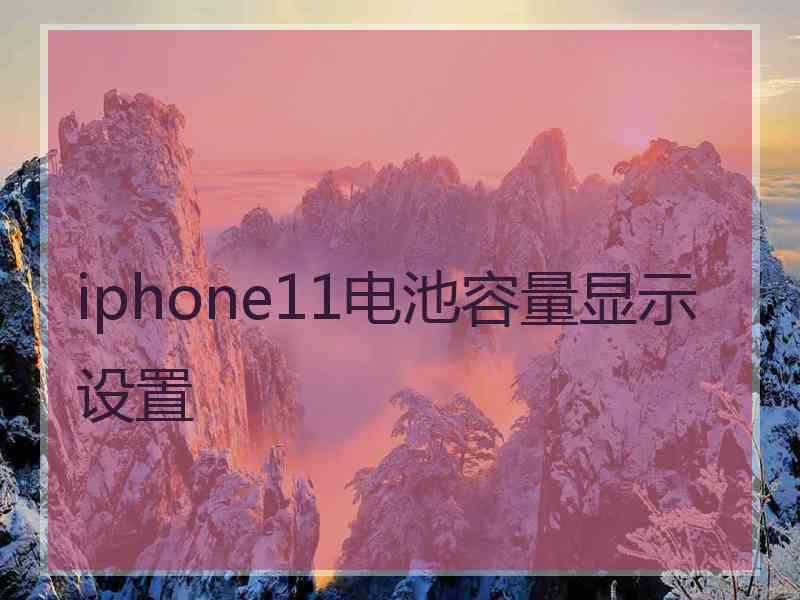 iphone11电池容量显示设置