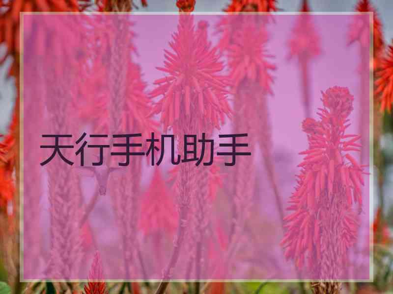 天行手机助手