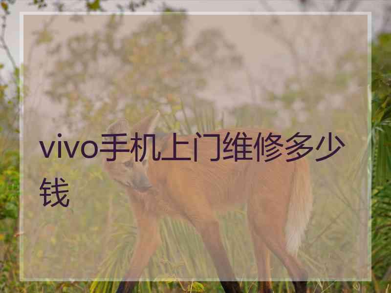 vivo手机上门维修多少钱