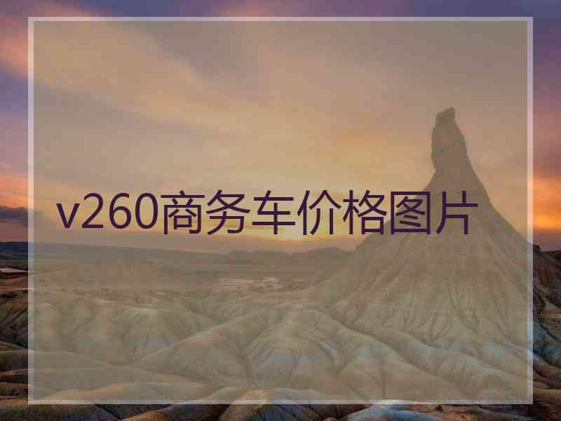 v260商务车价格图片