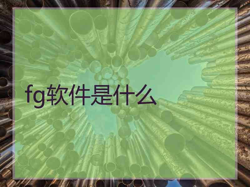fg软件是什么