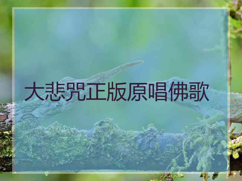 大悲咒正版原唱佛歌