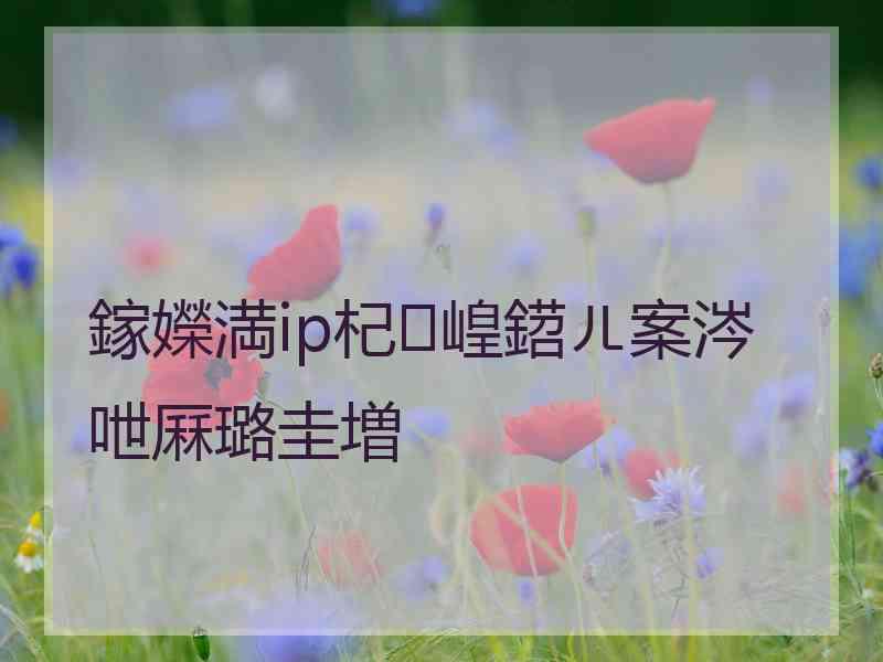鎵嬫満ip杞崲鍣ㄦ案涔呭厤璐圭増