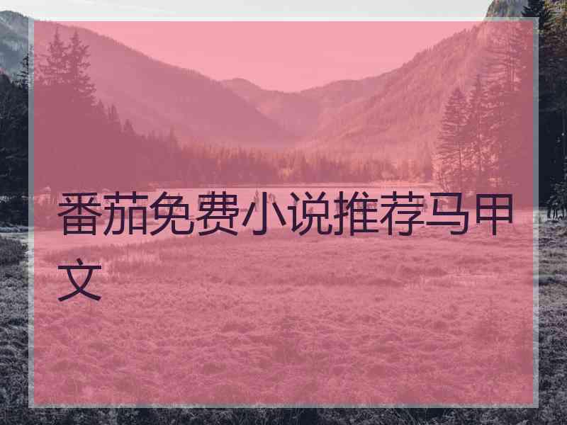 番茄免费小说推荐马甲文