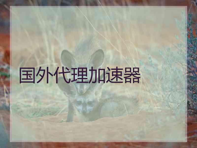 国外代理加速器
