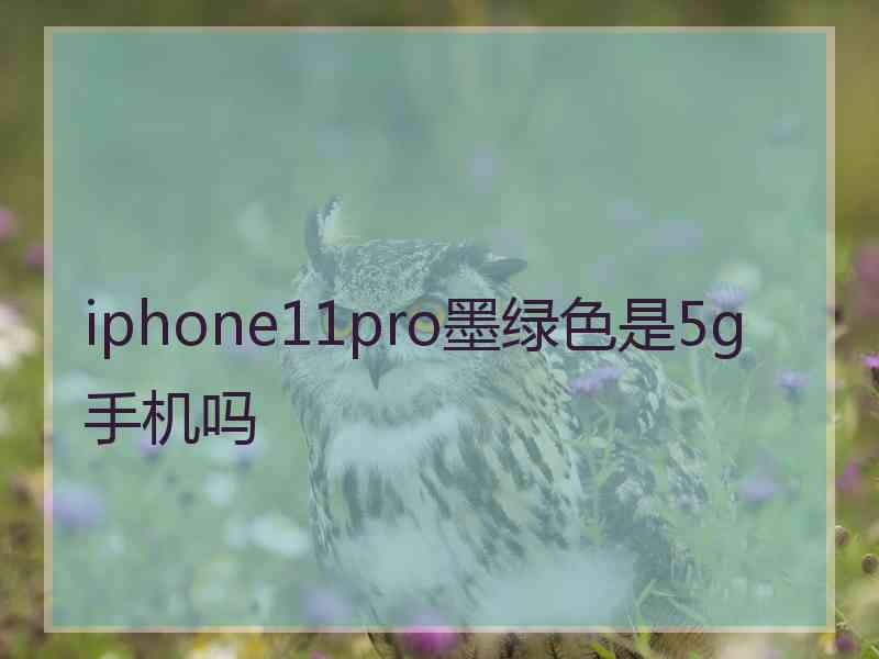 iphone11pro墨绿色是5g手机吗