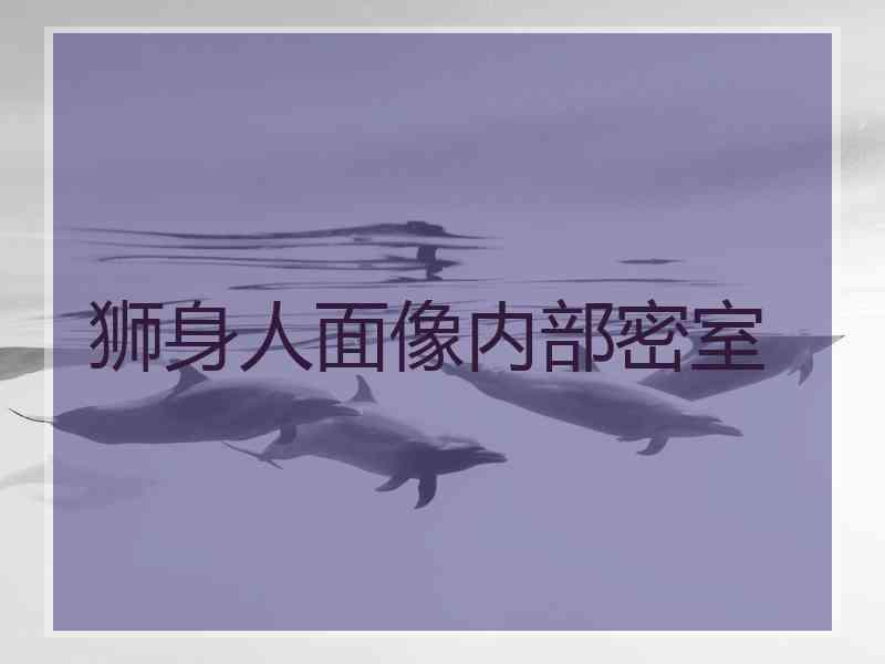 狮身人面像内部密室