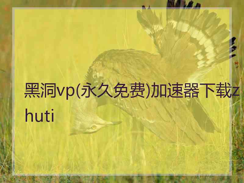 黑洞vp(永久免费)加速器下载zhuti