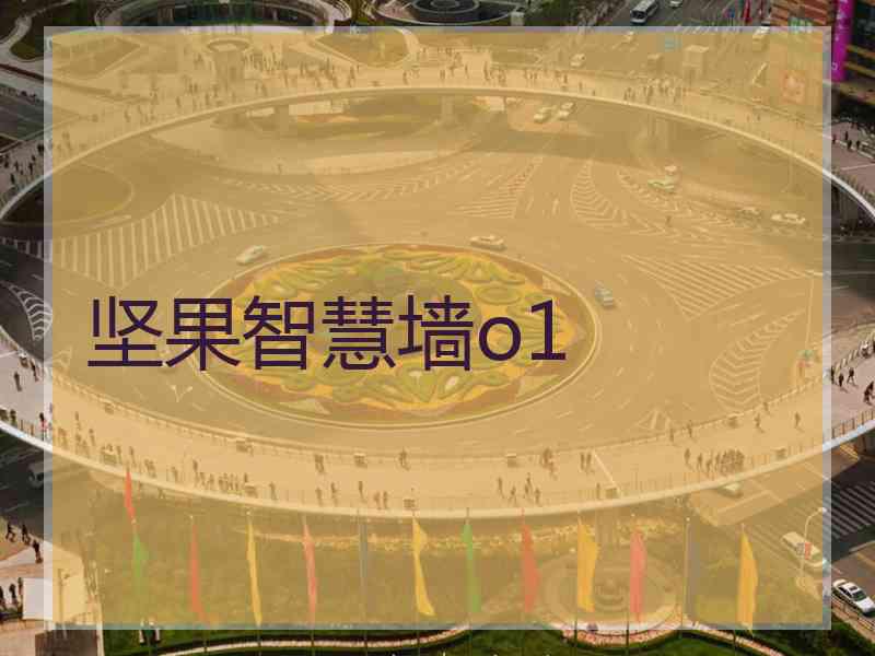 坚果智慧墙o1