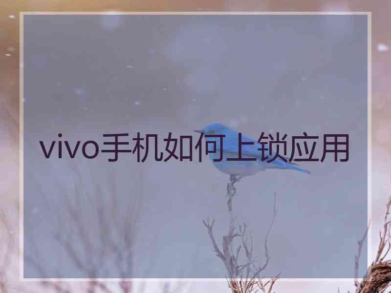 vivo手机如何上锁应用