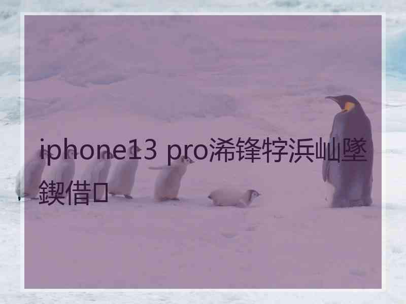 iphone13 pro浠锋牸浜屾墜鍥借