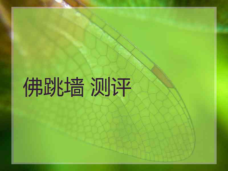 佛跳墙 测评