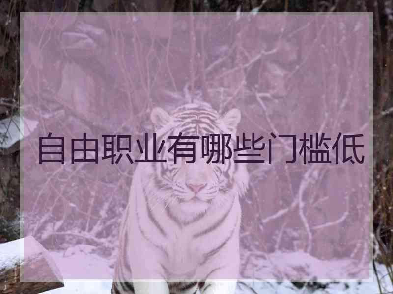 自由职业有哪些门槛低
