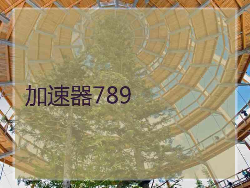 加速器789