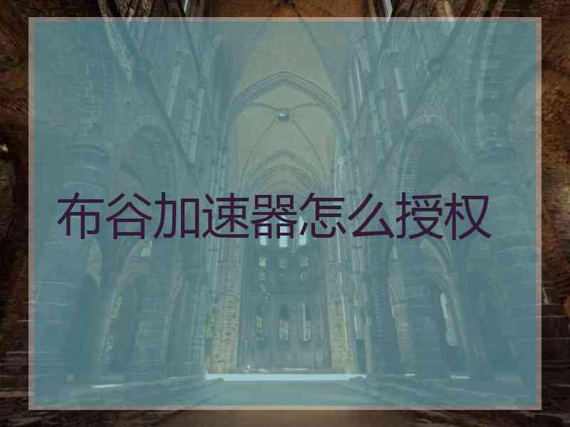 布谷加速器怎么授权