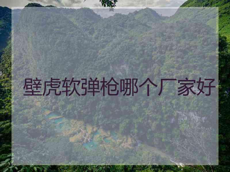 壁虎软弹枪哪个厂家好