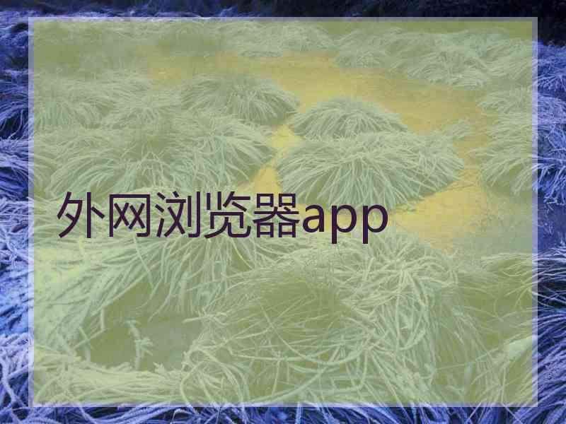 外网浏览器app