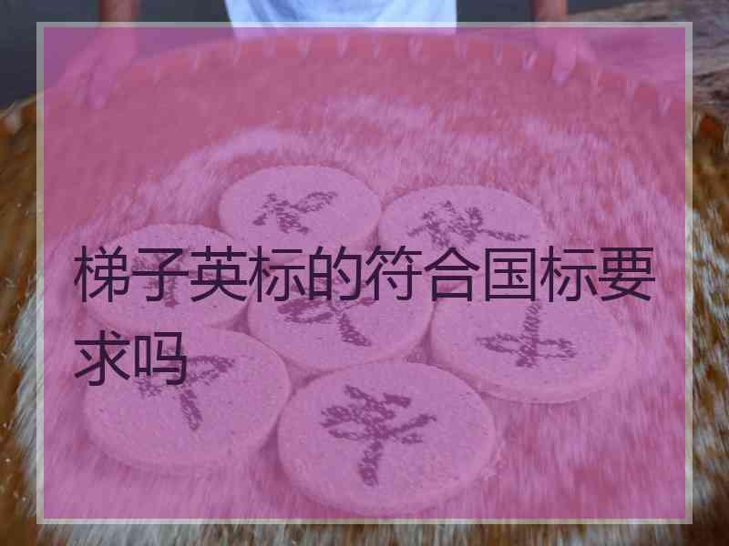 梯子英标的符合国标要求吗
