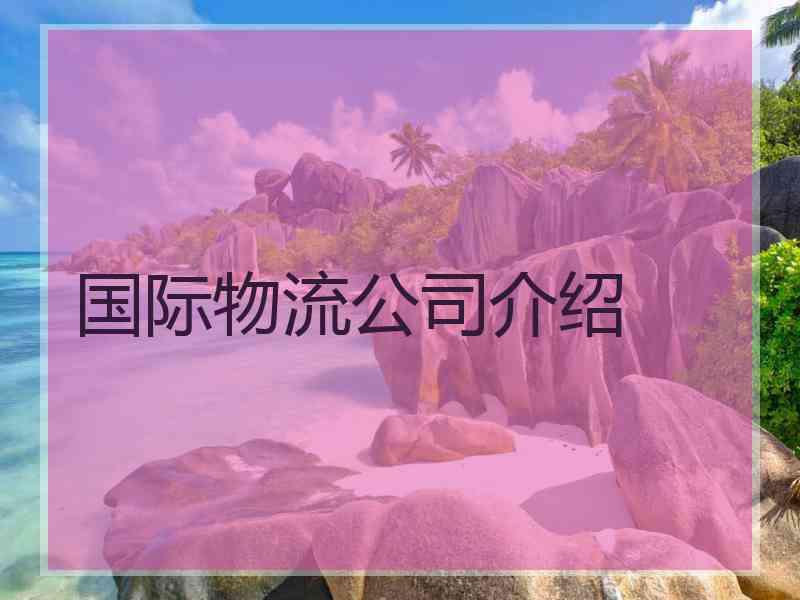 国际物流公司介绍