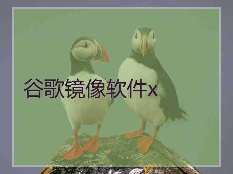 谷歌镜像软件x