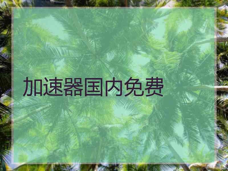加速器国内免费