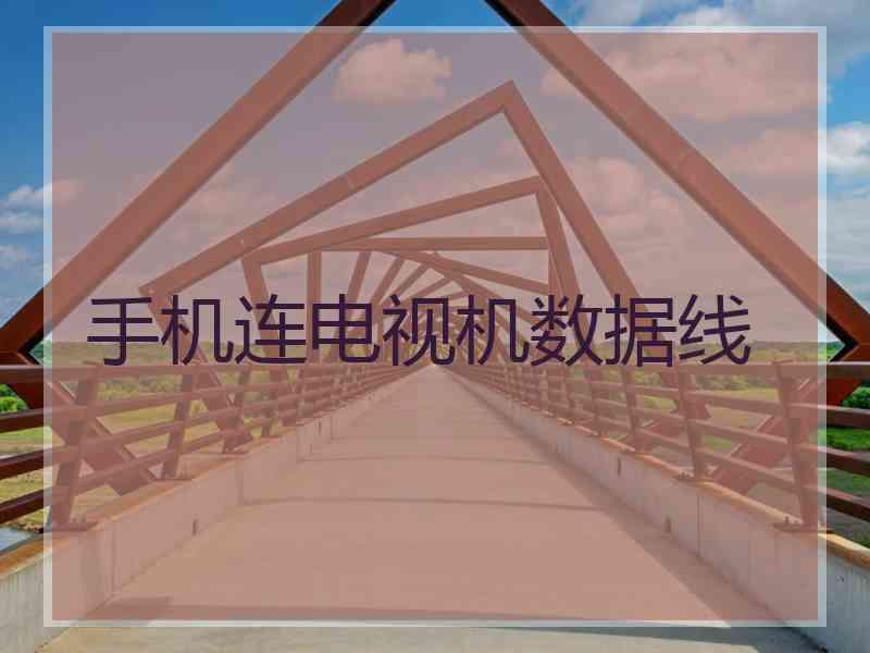 手机连电视机数据线