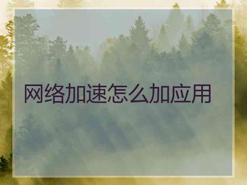 网络加速怎么加应用