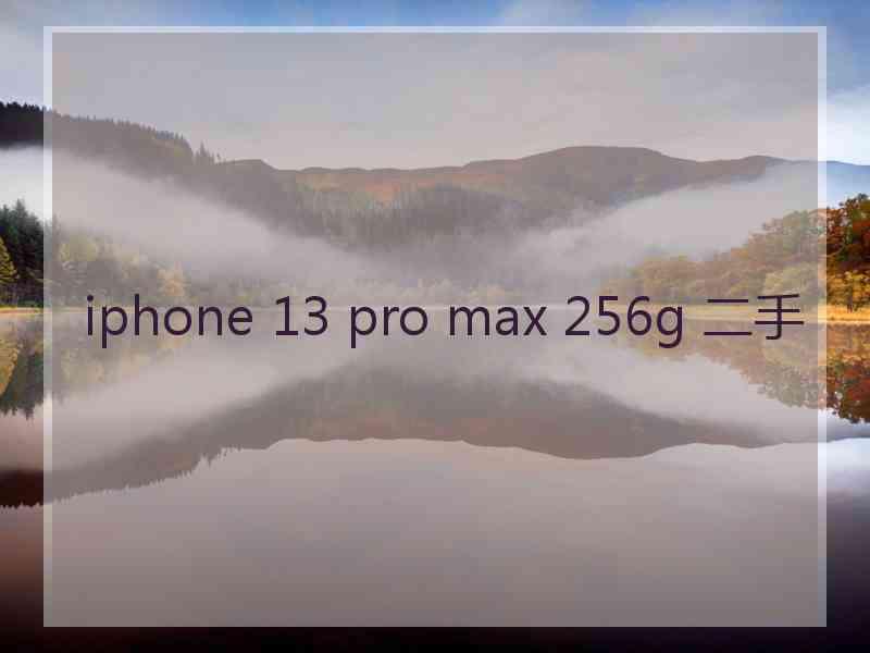iphone 13 pro max 256g 二手