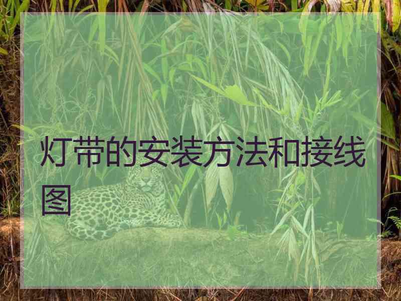 灯带的安装方法和接线图