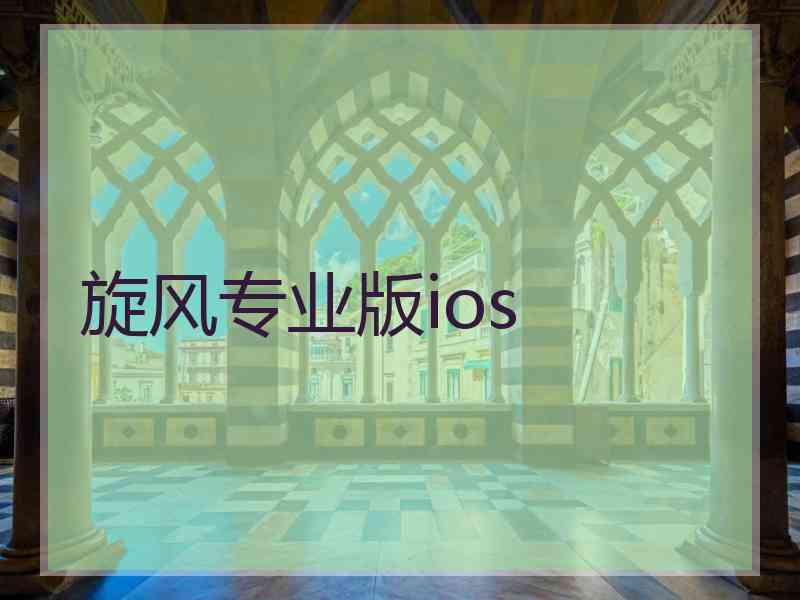 旋风专业版ios