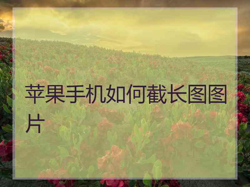 苹果手机如何截长图图片