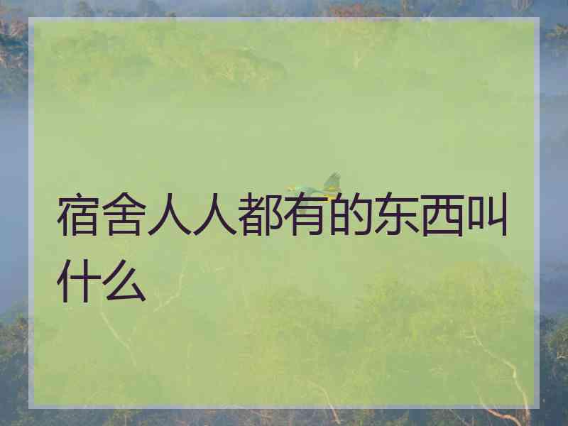 宿舍人人都有的东西叫什么