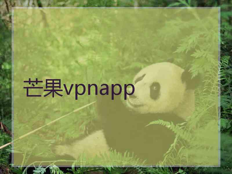 芒果vpnapp