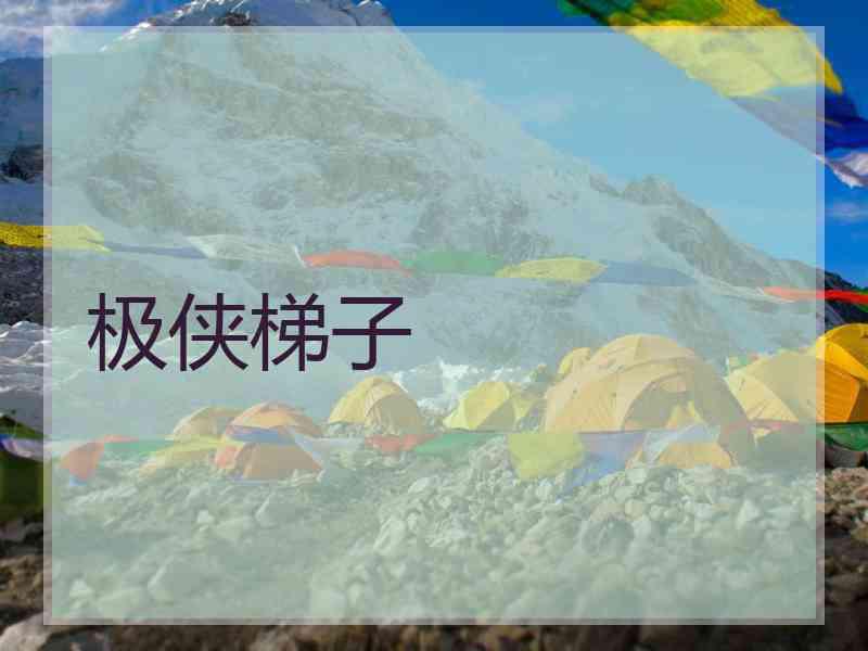 极侠梯子