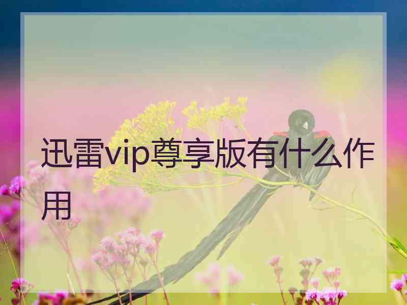 迅雷vip尊享版有什么作用