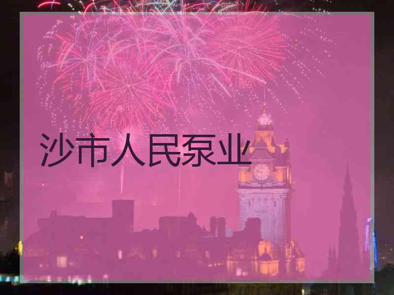 沙市人民泵业