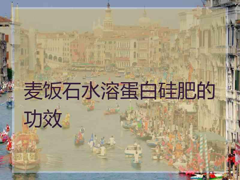 麦饭石水溶蛋白硅肥的功效