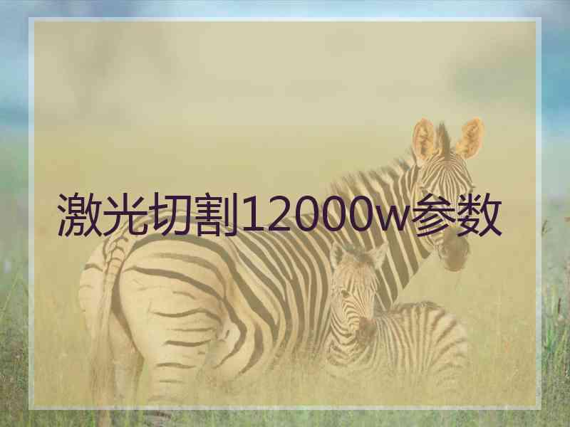 激光切割12000w参数
