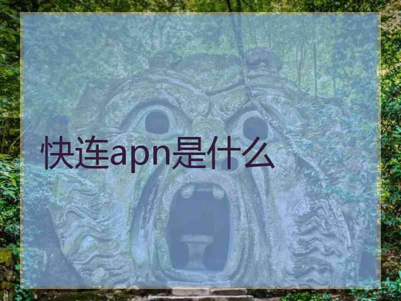 快连apn是什么