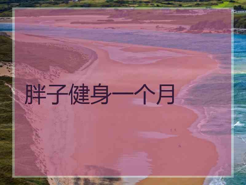 胖子健身一个月