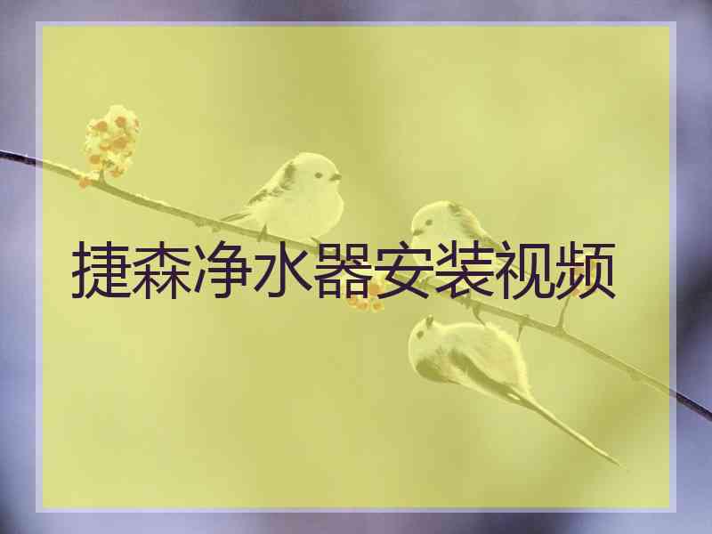 捷森净水器安装视频