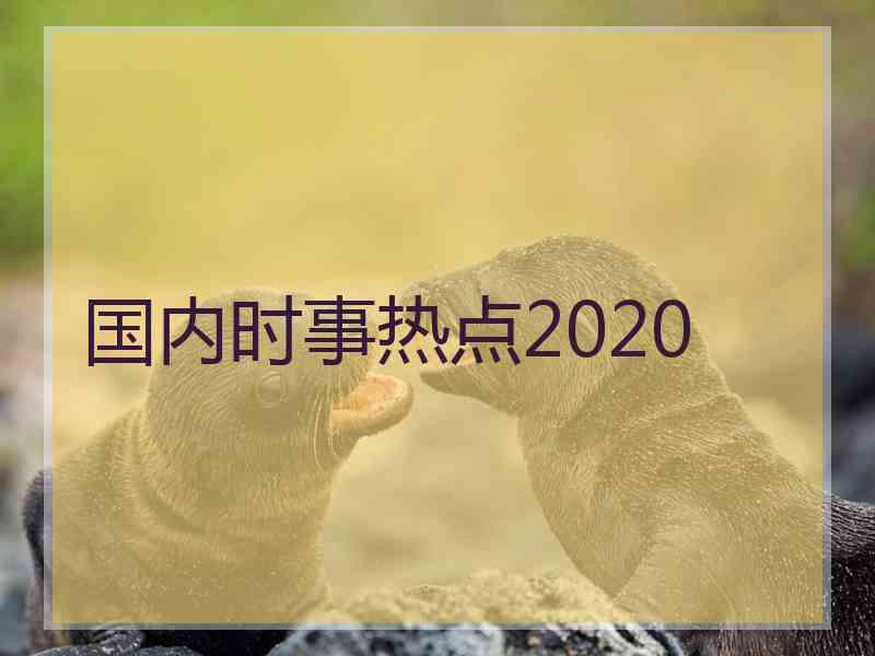 国内时事热点2020