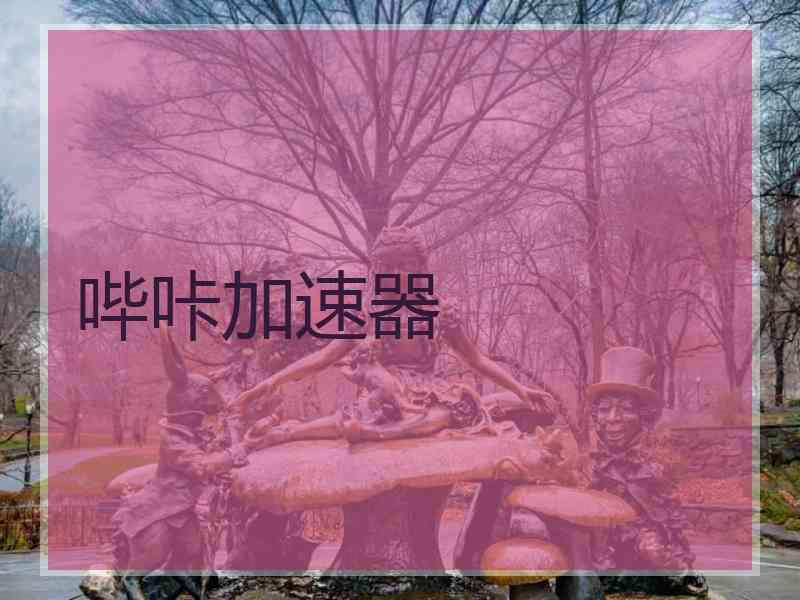 哔咔加速器