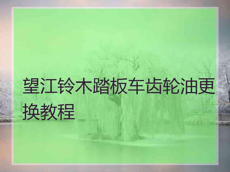 望江铃木踏板车齿轮油更换教程